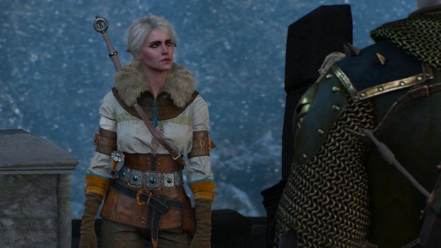 witcher3 2022-01-21 22-49-36-32.jpg