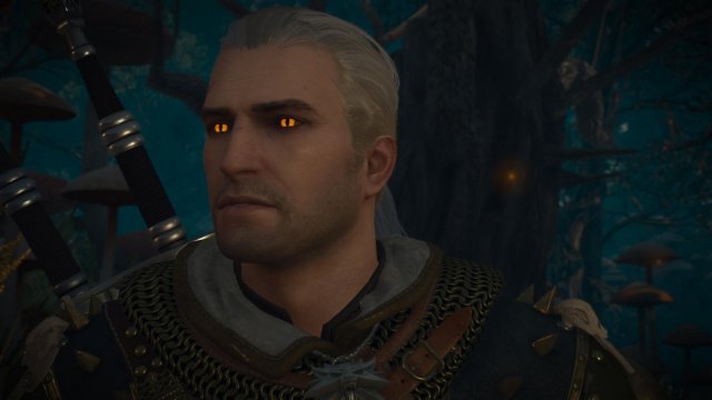 witcher3 2022-02-10 22-36-30-83.jpg