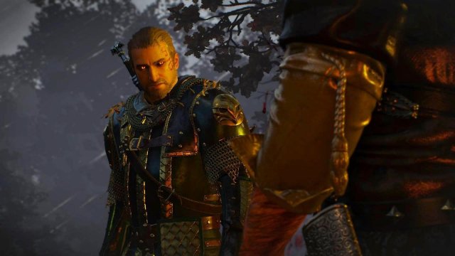 witcher3 2022-02-12 22-23-56-28.jpg