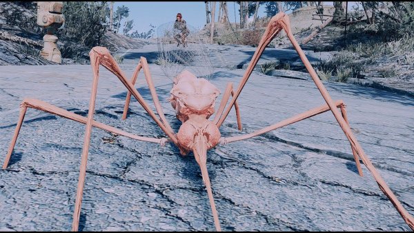 Насекомые Содружества.. Fallout-4 (Сборка 7.5)