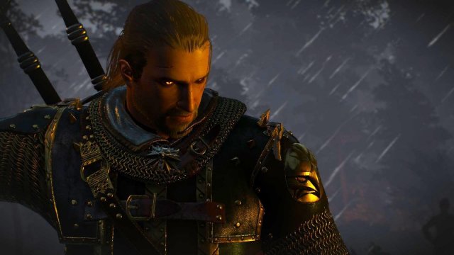 witcher3 2022-02-12 22-24-44-95.jpg