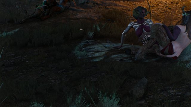 witcher3 2022-01-20 00-38-44-43.jpg