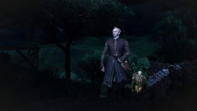 witcher3 2022-02-09 23-32-41-24.jpg