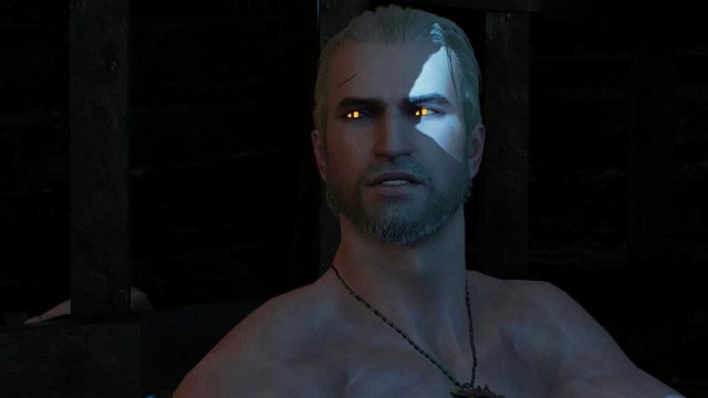 witcher3 2022-02-12 00-52-02-11.jpg