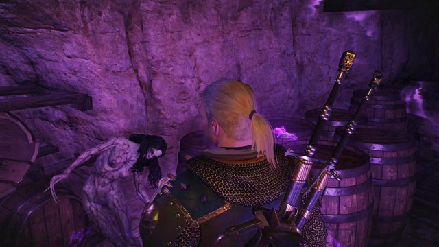 witcher3 2022-01-22 23-45-43-60.jpg