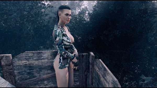 Женские нпс.. Fallout-4 (Сборка 7.5)