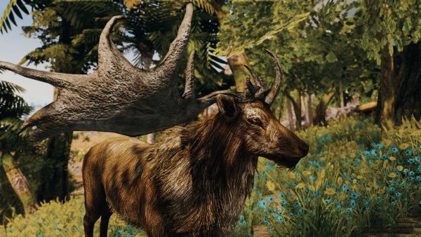 Олень.. Skyrim SE (Тропики 7.0)