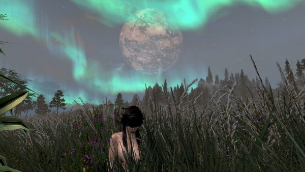 Травы высокие в Тропиках.