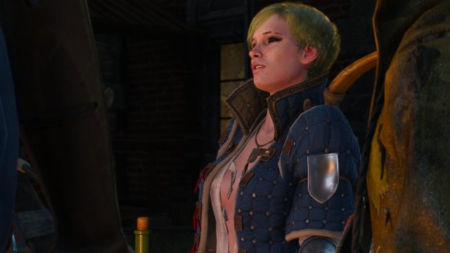 witcher3 2022-01-22 15-20-32-09.jpg