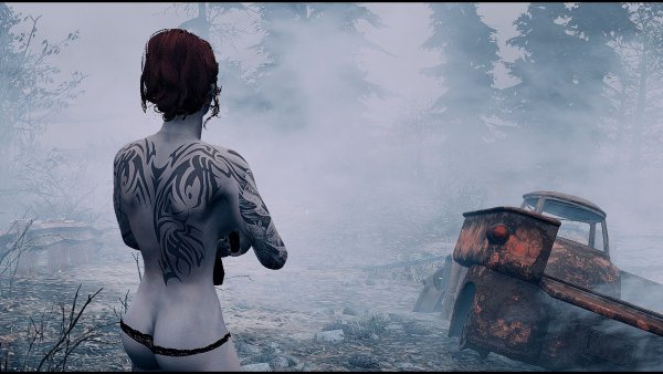 Туманно.. Fallout-4 (Сборка 7.5)