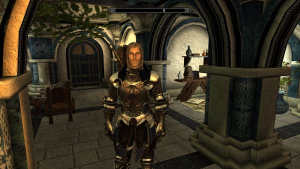 TESV 2022-06-12 21-44-10-10.jpg