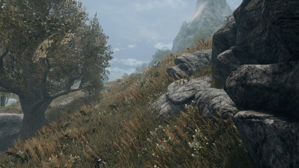 ПЕЙЗАЖИ.. SKYRIM AE (сборка 10)