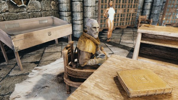 Библиотекарь гильдии магов. SKYRIM AE (сборка 10)