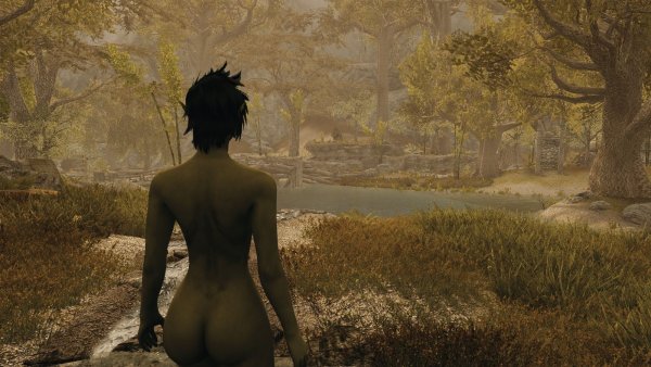 Вид на Ривервуд.. SKYRIM AE (сборка 10)