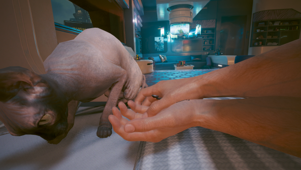 Сфинкс разбудил Ви.