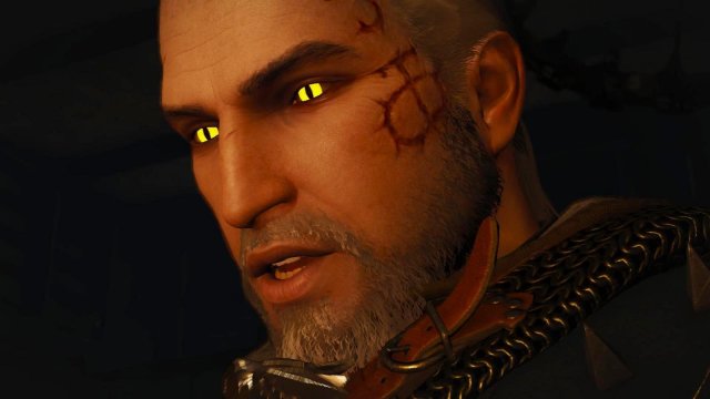 witcher3 2022-04-21 22-50-44-59.jpg