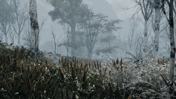 Туманный пейзаж. SKYRIM AE (сборка 10)