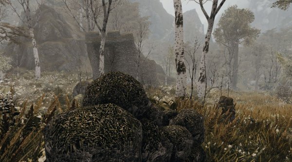 ПЕЙЗАЖ.. SKYRIM AE (сборка 10)