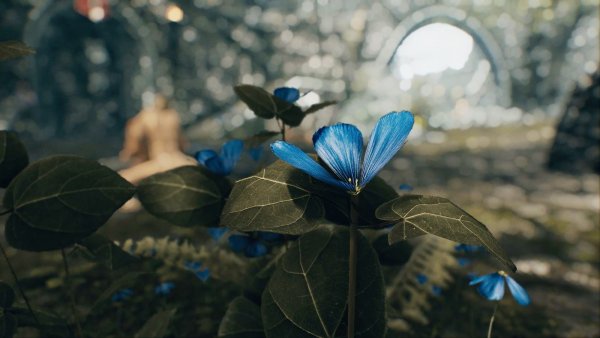 Цветочек.. SKYRIM AE (сборка 10)