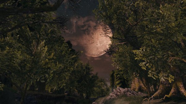 Вечерние пейзажи.. Skyrim SE (Тропики 7.0)