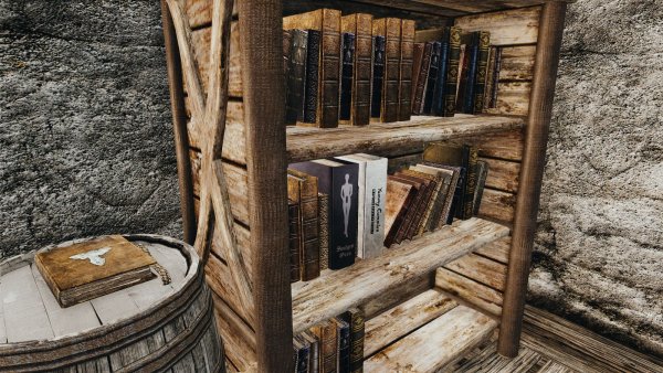 Библиотека в Озерном.. SKYRIM AE (сборка 10)