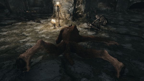 Павший вервольф.. SKYRIM AE (сборка 10)