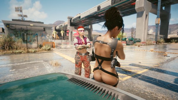 Ви и Панам.. Cyberpunk 2077