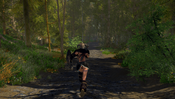 Просто Скайрим)