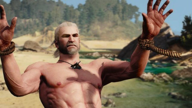 witcher3 2022-02-12 00-55-29-70.jpg