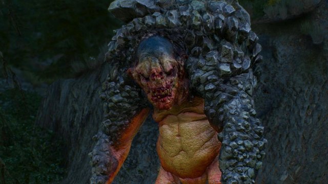 witcher3 2022-01-18 01-00-14-63.jpg