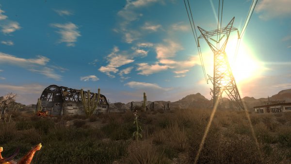 Заброшенная ферма с дохлыми муравьями...