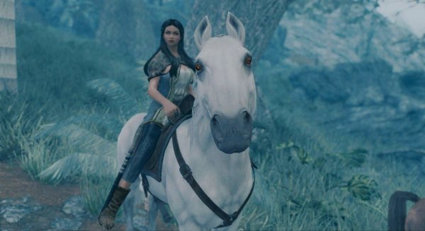 Встреча на лесной дороге.. Skyrim SE (сборка 11)