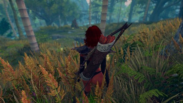 Утренний лес (без тумана). Skyrim SE (сборка 11)