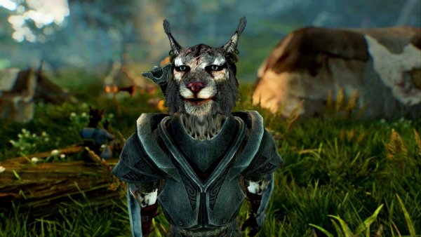 Котик ) Skyrim SE (сборка 11)