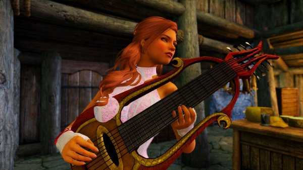 Бард в таверне.. Skyrim SE (сборка 11)