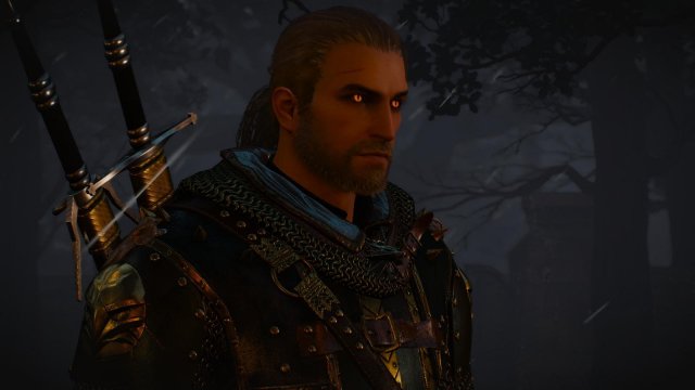 witcher3 2022-02-12 22-32-42-00.jpg
