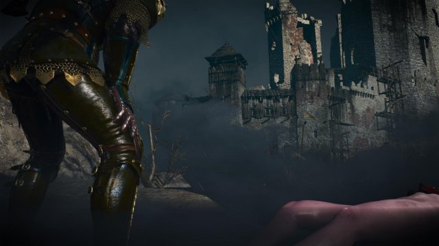 witcher3 2022-02-10 23-50-56-25.jpg