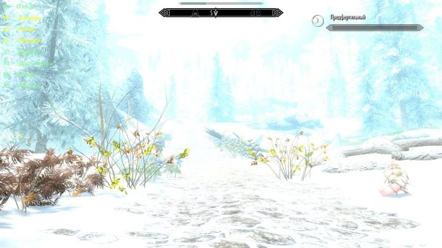 190125701_SkyrimSE2022-12-0621-50-59.thumb.jpg.7166bdb0de2de40434a51a3d352df2bd.jpg
