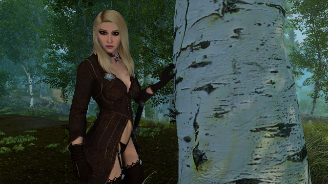 SkyrimSE 2022-12-27 22-43-37.png