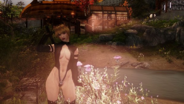 Skyrim LE тестовое