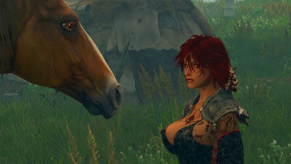 .... Skyrim SE (сборка 11)