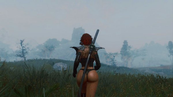 В сторону Вайтрана.. Skyrim SE (сборка 11)