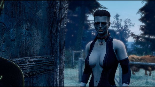 Fallout4 2022-12-23 22-40-07.jpg