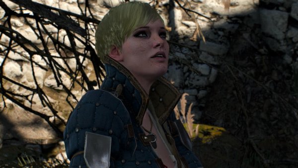 БЬЯНКА.. Ведьмак III (сборка Торна)