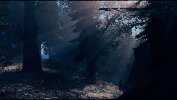 Тема  - солнечных лучей (продолжение).