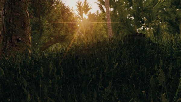 ПЕЙЗАЖ.. Skyrim SE (Тропики 7.0)