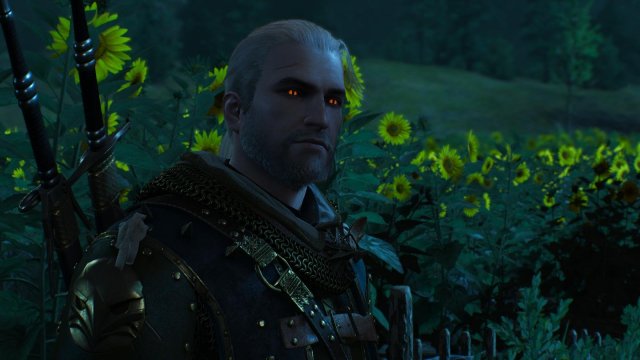 witcher3 2022-02-12 22-13-55-44.jpg