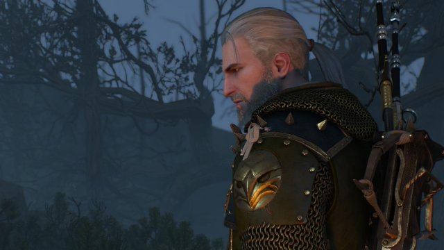 +witcher3 2022-01-19 21-40-23-92.jpg