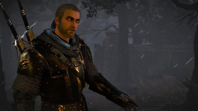 witcher3 2022-02-12 22-33-44-64.jpg