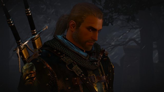 witcher3 2022-02-12 22-33-22-37.jpg